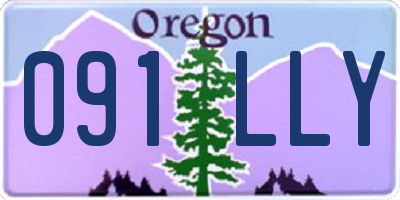OR license plate 091LLY