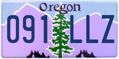 OR license plate 091LLZ