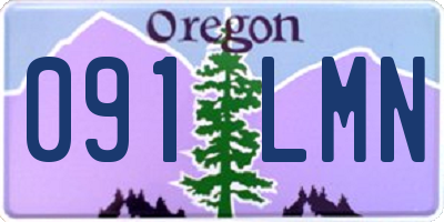 OR license plate 091LMN