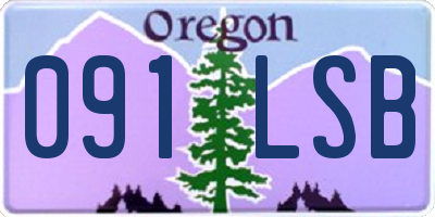 OR license plate 091LSB