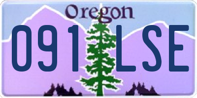 OR license plate 091LSE