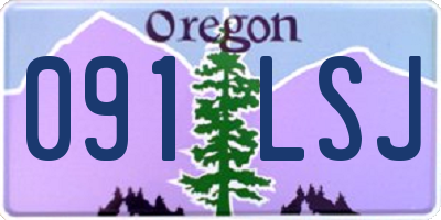 OR license plate 091LSJ