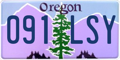 OR license plate 091LSY
