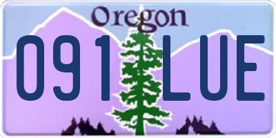 OR license plate 091LUE