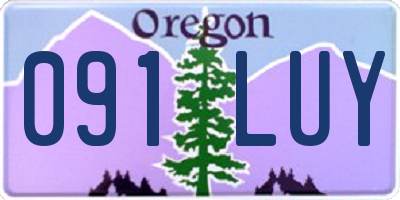 OR license plate 091LUY