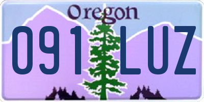OR license plate 091LUZ