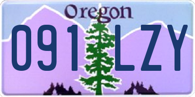 OR license plate 091LZY