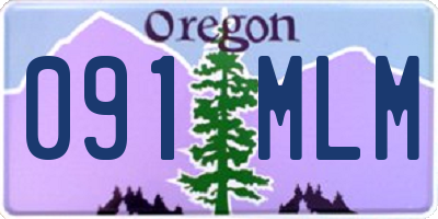 OR license plate 091MLM