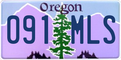 OR license plate 091MLS