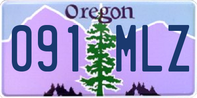 OR license plate 091MLZ