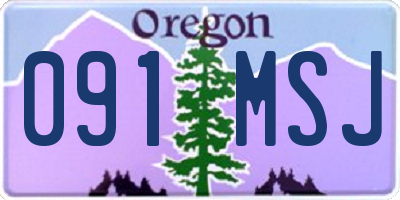 OR license plate 091MSJ