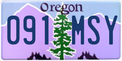 OR license plate 091MSY