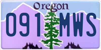 OR license plate 091MWS