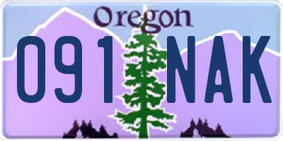 OR license plate 091NAK