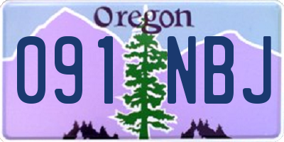 OR license plate 091NBJ