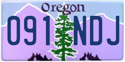 OR license plate 091NDJ