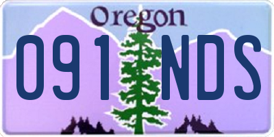 OR license plate 091NDS