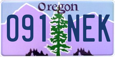 OR license plate 091NEK