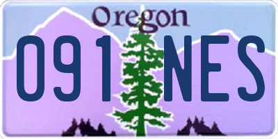 OR license plate 091NES