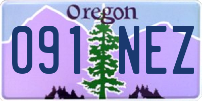 OR license plate 091NEZ
