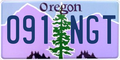 OR license plate 091NGT