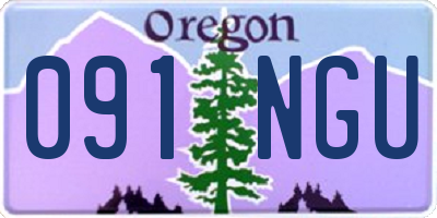 OR license plate 091NGU