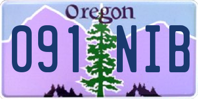 OR license plate 091NIB