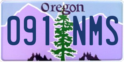 OR license plate 091NMS
