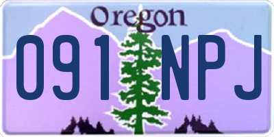 OR license plate 091NPJ