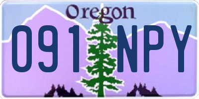 OR license plate 091NPY