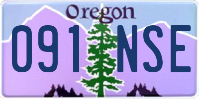 OR license plate 091NSE