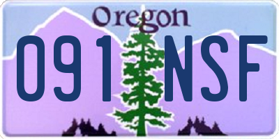 OR license plate 091NSF