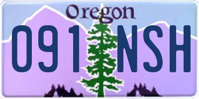 OR license plate 091NSH