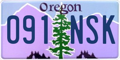 OR license plate 091NSK