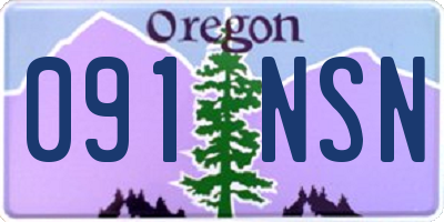 OR license plate 091NSN