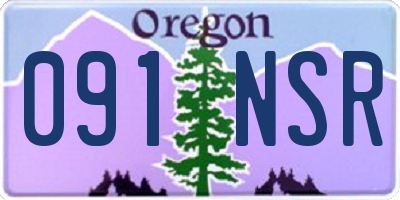 OR license plate 091NSR
