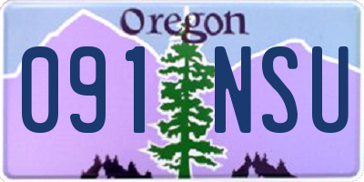 OR license plate 091NSU