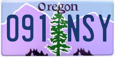 OR license plate 091NSY