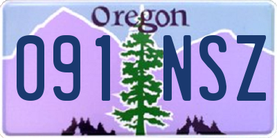 OR license plate 091NSZ