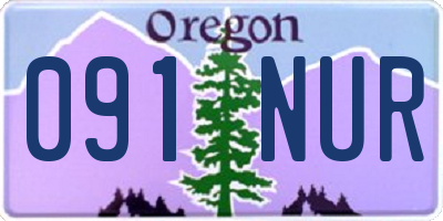 OR license plate 091NUR
