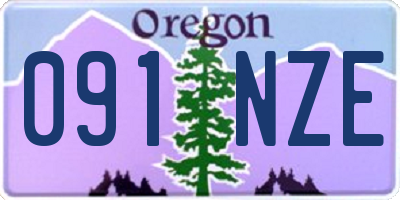 OR license plate 091NZE
