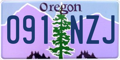 OR license plate 091NZJ