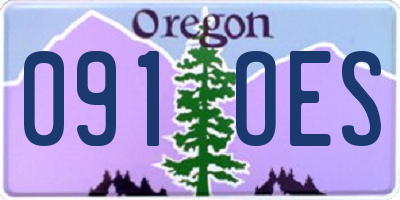 OR license plate 091OES