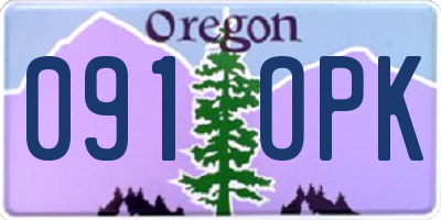 OR license plate 091OPK