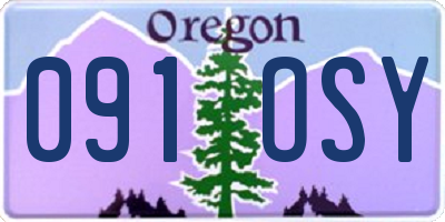 OR license plate 091OSY