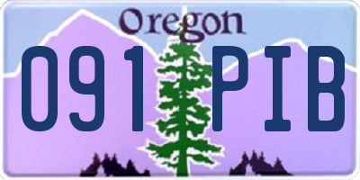 OR license plate 091PIB