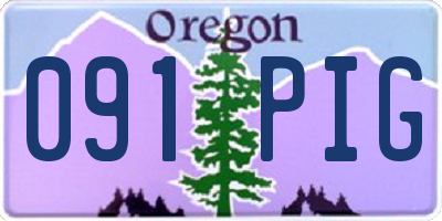 OR license plate 091PIG
