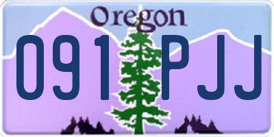 OR license plate 091PJJ
