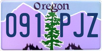 OR license plate 091PJZ