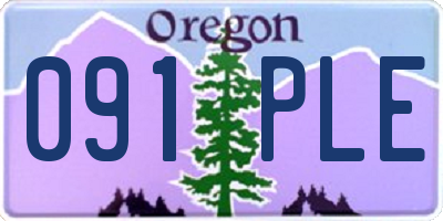 OR license plate 091PLE